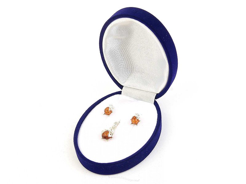 Amber jewelry ladybug gift set Ag 925/1000